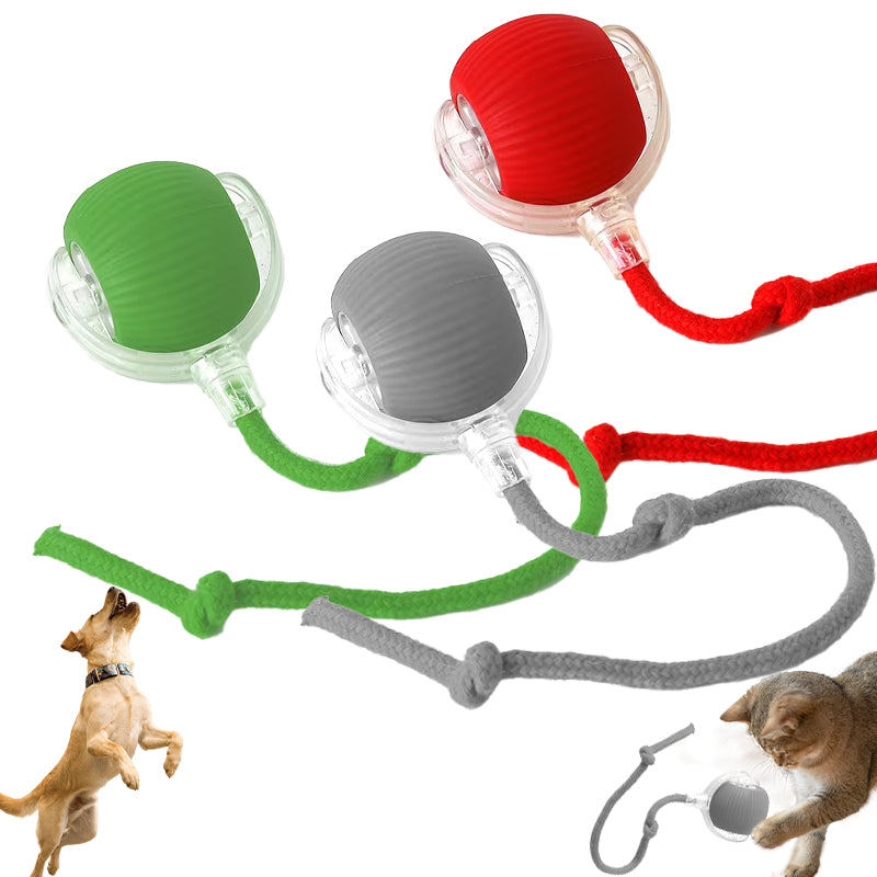 USB Charger Smart Automatic Rotating Rechargeable Cat Toy Self Rolling Ball