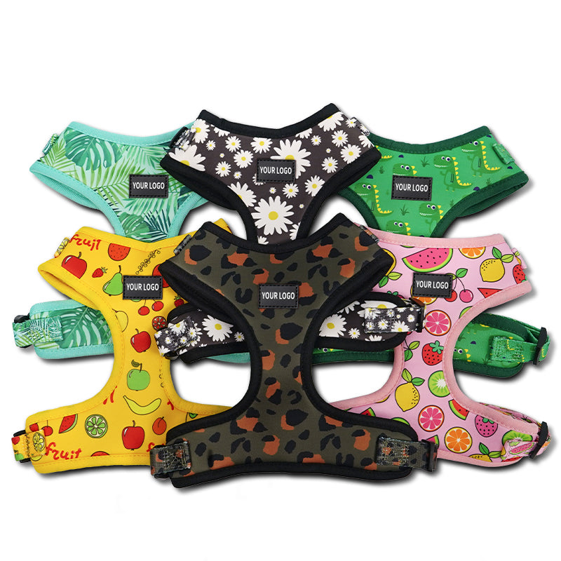 Custom Logo Adjustable Neoprene Pet Dog Harness and Leash Set