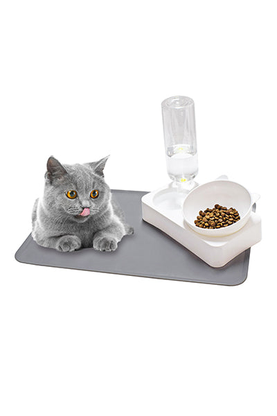Raised Cat Bowl and Water Bottle Set with Silicon Non Slip Waterproof Mat