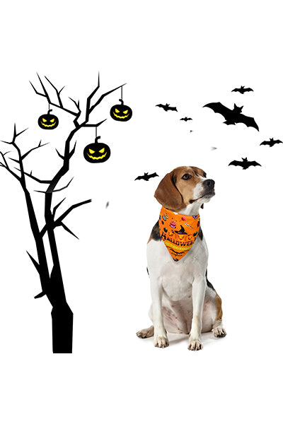 Halloween Bandanas 3 Pack