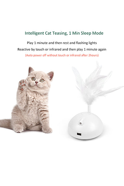 Automatic Pet Exercise Toys with LED