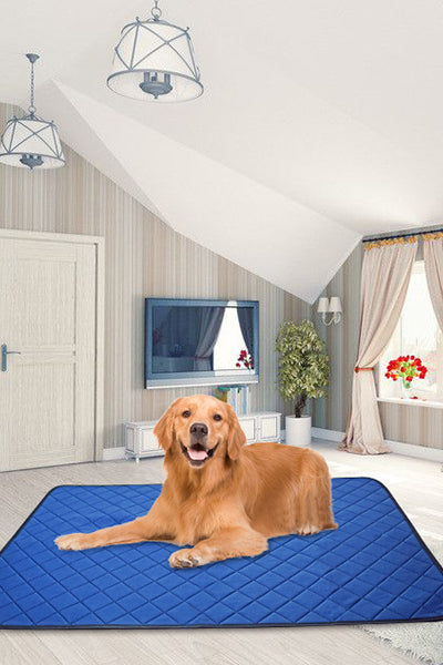 Washable Reusable Puppy Pee Pad