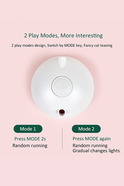 Automatic Pet Exercise Toys with LED