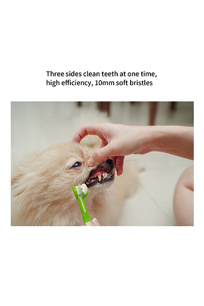 Dog Toothbrush Finger Set