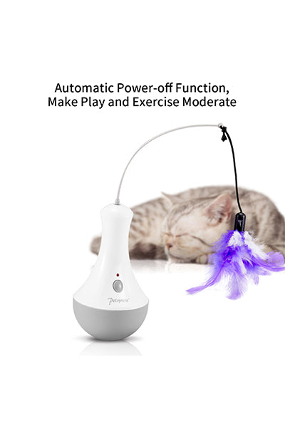 Electronic Motion/Moving Tumbler Cat Toys
