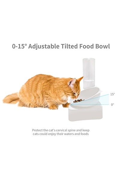 Raised Cat Bowl and Water Bottle Set with Silicon Non Slip Waterproof Mat