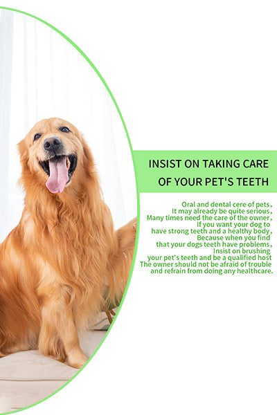 Dog Toothbrush Finger Set