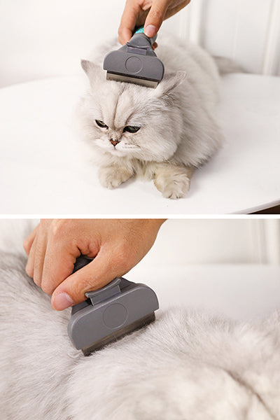 Professional Shedding Tool for Dogs and Cats
