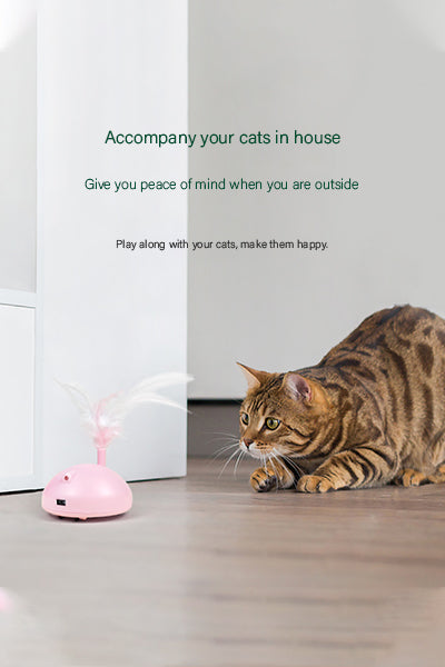 Automatic Pet Exercise Toys with LED