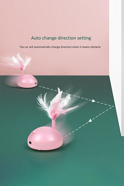 Automatic Pet Exercise Toys with LED