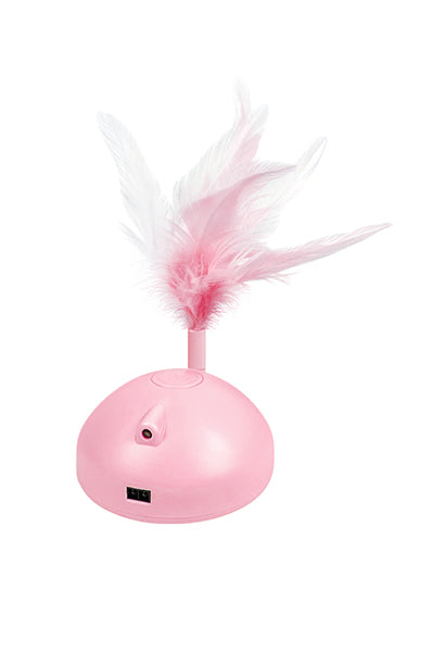 Automatic Pet Exercise Toys with LED