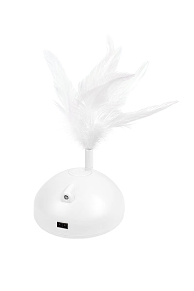 Automatic Pet Exercise Toys with LED